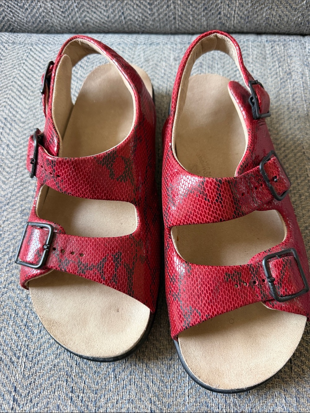 SAS TripAd Comfort Women’s Black/Red Snakeskin Sandals Size: 8.5M